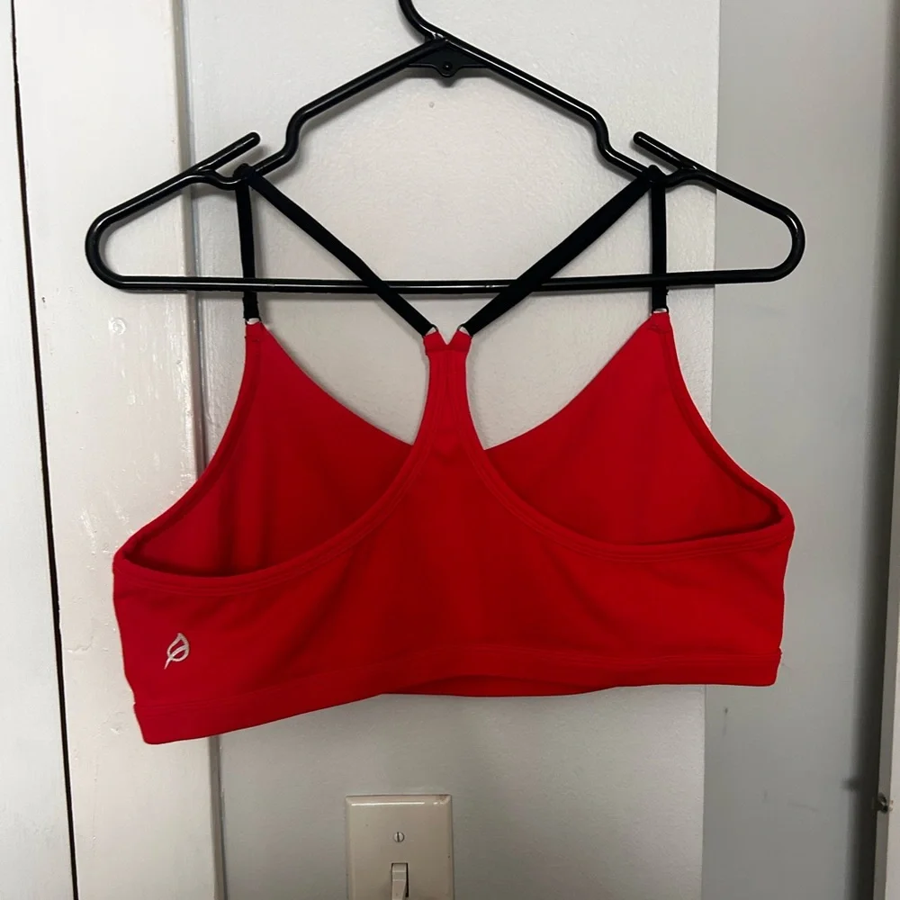 Set (2) Ptula Casey bras - Picture 3 of 13